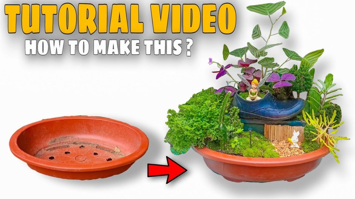 DISH GARDEN DESIGN IDEAS : Tinker Bell With Butterfly Plants 🌿🦋🦋🦋