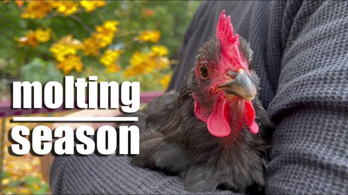 Winter Is Coming - Garden Journal October 23rd