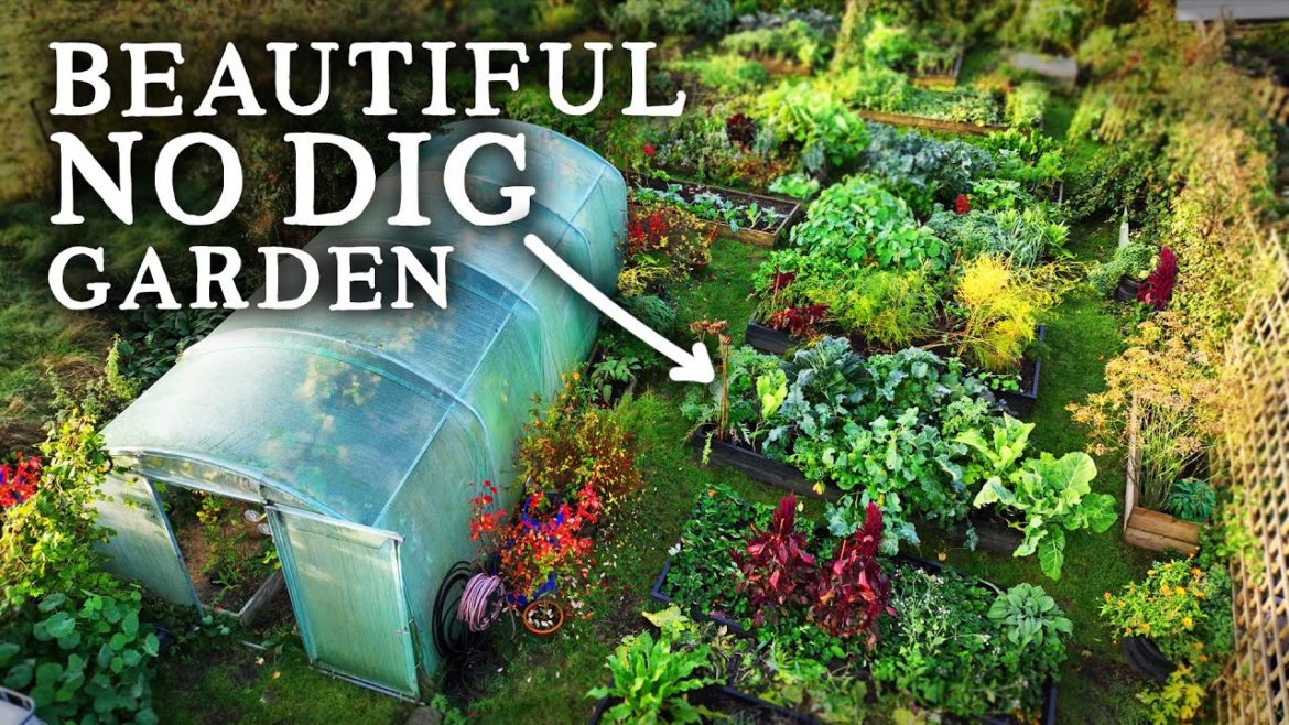 Huw Richards: 20 Year-Old Organic Vegetable Garden | FINAL Tour of 2022🌿 20 Year-Old Organic Vegetable Garden | FINAL Tour of 2022🌿