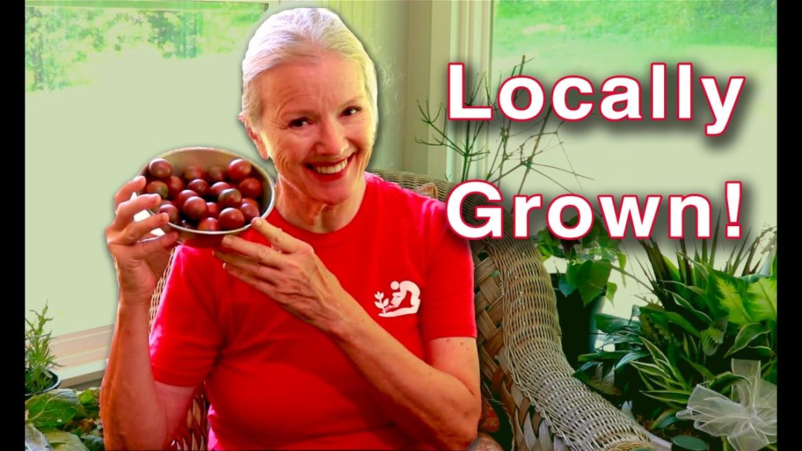 Don't have a GARDEN YET? Support LOCAL FARMERS