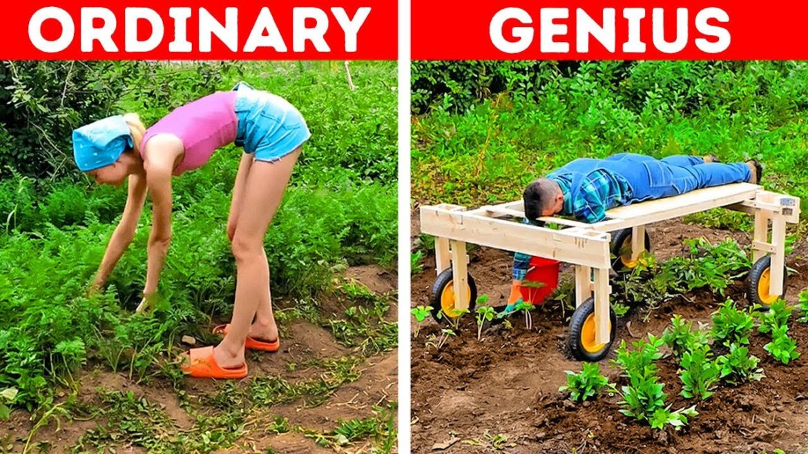 Smart Gardening Tips For Beginners And Plant Growing Hacks