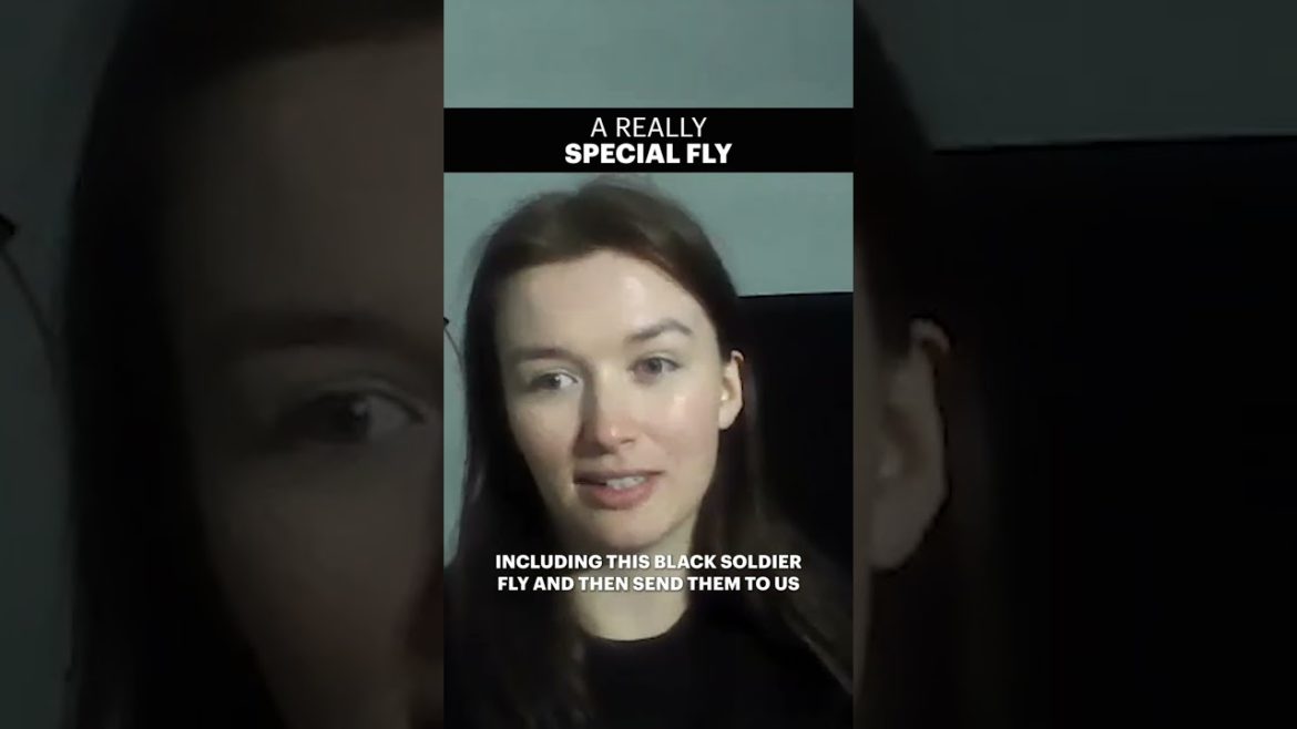 She turns food waste into edible protein. #Shorts