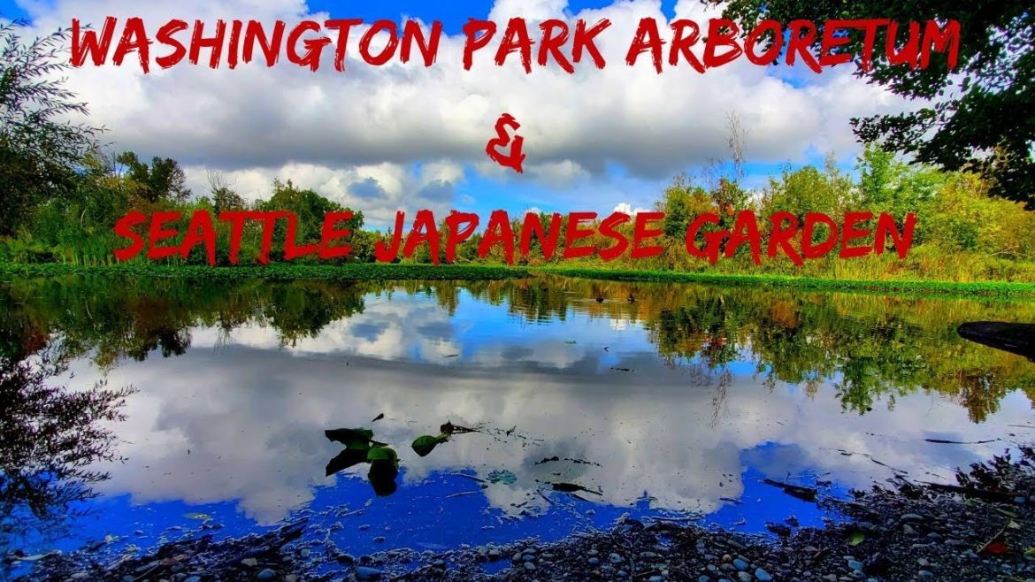 WASHINGTON PARK ARBORETUM AND SEATTLE JAPANESE GARDEN