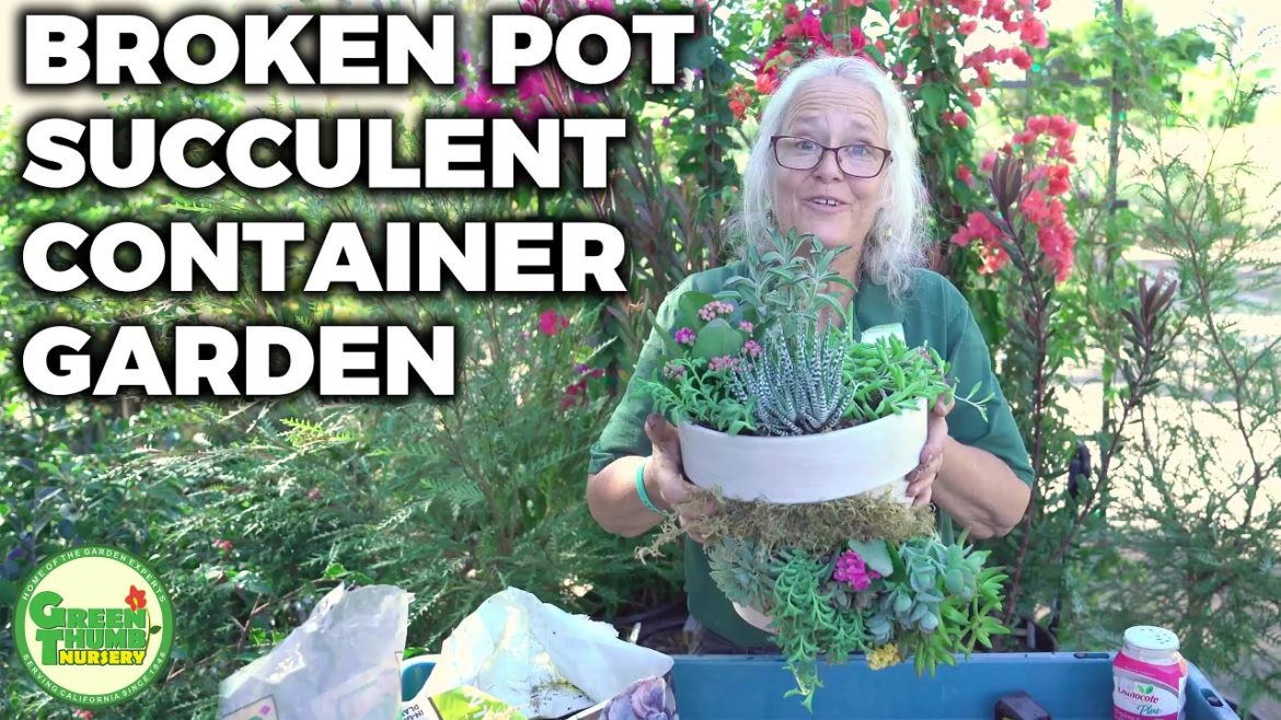 How To Repurpose A Broken Pot To Create A Gorgeous Trailing Succulent Container Garden, DIY How To Repurpose A Broken Pot To Create A Gorgeous Trailing Succulent Container Garden, DIY