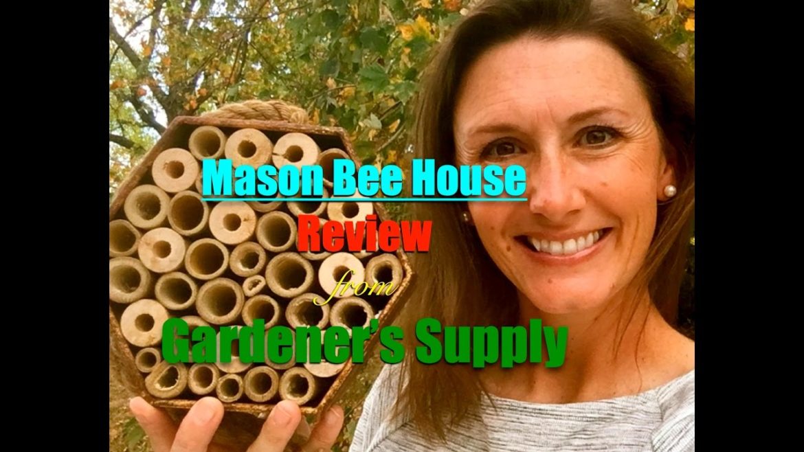 Rustic Mason Bee House Review from Gardener's Supply Company~ Rustic Mason Bee House Review from Gardener's Supply Company~