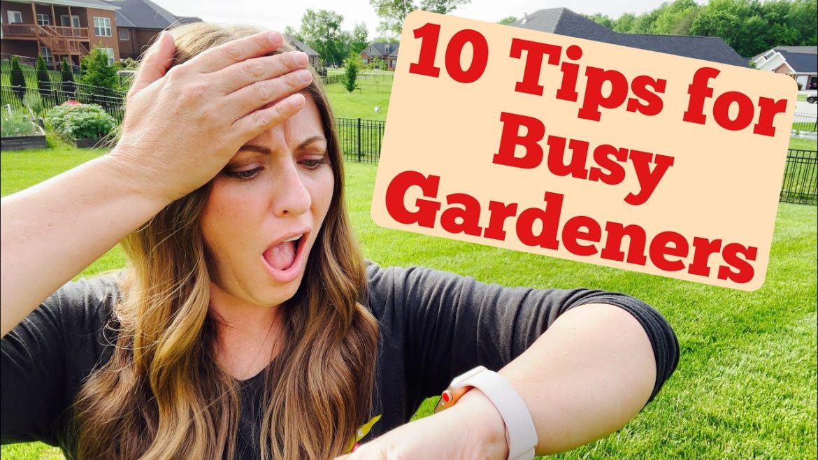 Top 10 Tips for Busy Gardeners | Easy Gardening Tips | Best Tips For Successful Vegetable Garden