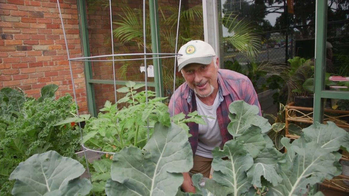 Planting My Raised Garden Beds Planting My Raised Garden Beds