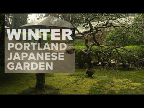 Winter at Portland's Japanese Garden Winter at Portland's Japanese Garden