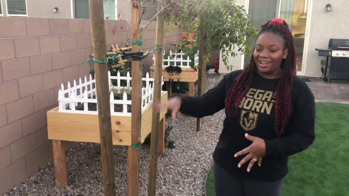 Backyard Tour! Las Vegas Desert Landscaping Backyard Tour! Las Vegas Desert Landscaping