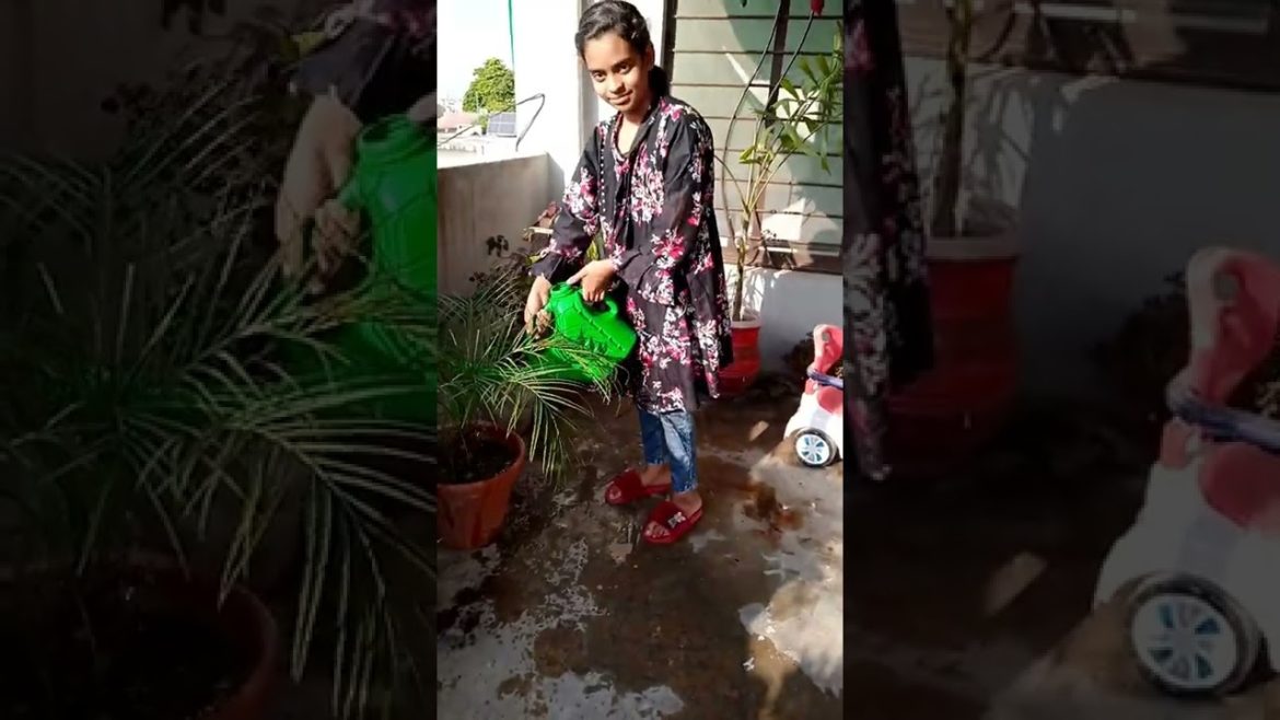 Plants Watering Ideas - Plants #plants #gardening