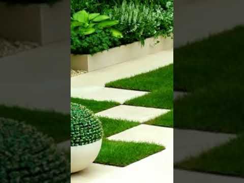 Backyard Landscaping #shorts | Lawn Care and Gardening Backyard Landscaping #shorts | Lawn Care and Gardening