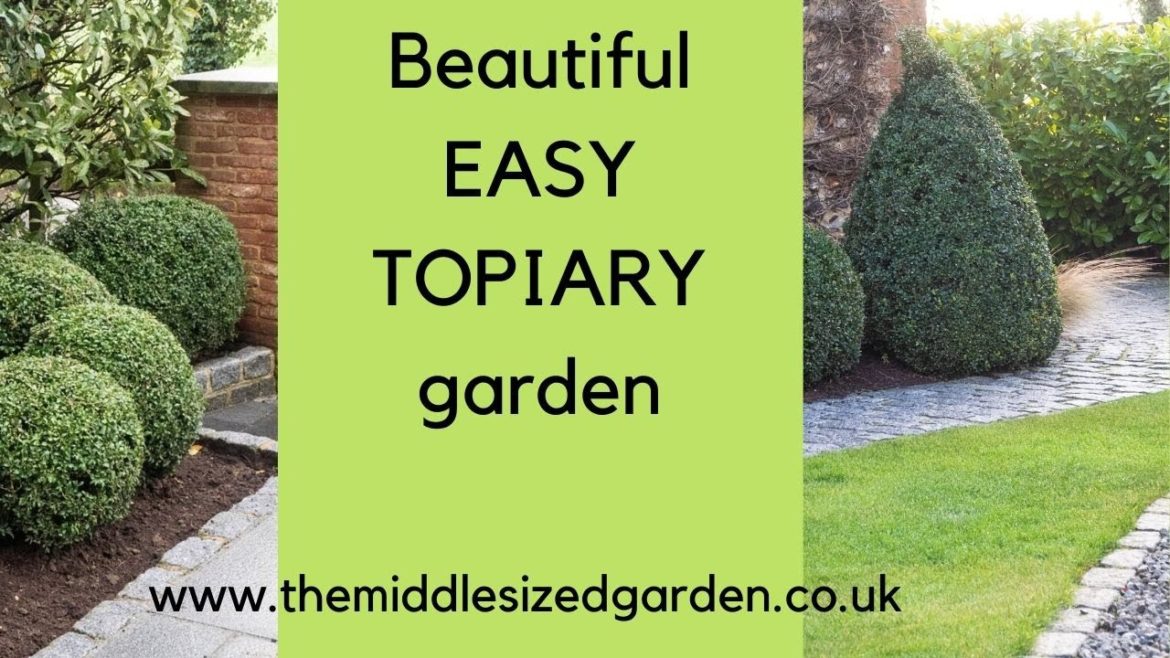 EASY TOPIARY SHAPES for a dramatic and beautiful garden!