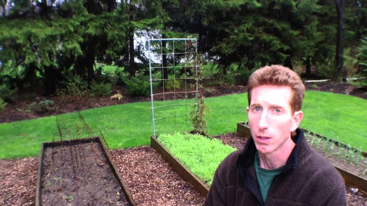 How To Build A Raised Bed Garden - Vegetable Gardening