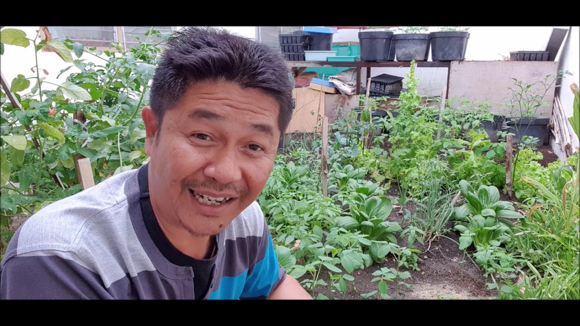 5 Cara Terbaik Belajar Berkebun Organik Tips dari Gardener Scott