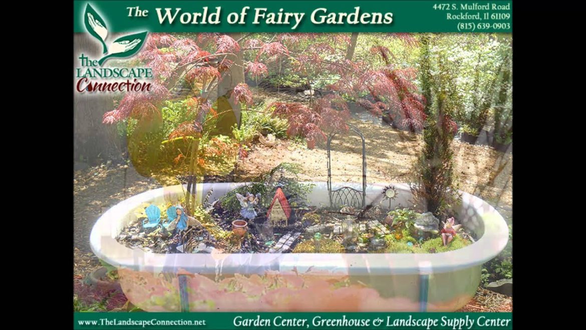 Fairy Gardening, How To Build a Fairy Garden, Fairy Garden Supplies, Miniature Gardening Fairy Gardening, How To Build a Fairy Garden, Fairy Garden Supplies, Miniature Gardening