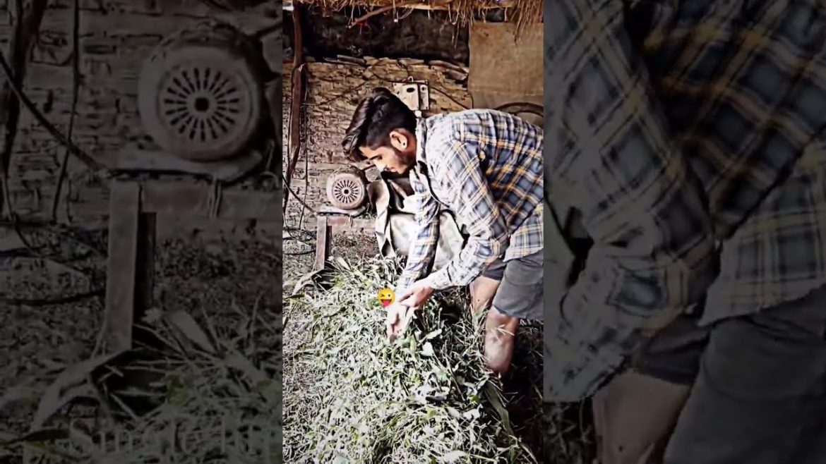 single life 😜#trending #trend #short #comedy #funny #vairal #foryou #youtubeshorts #reels #shorts