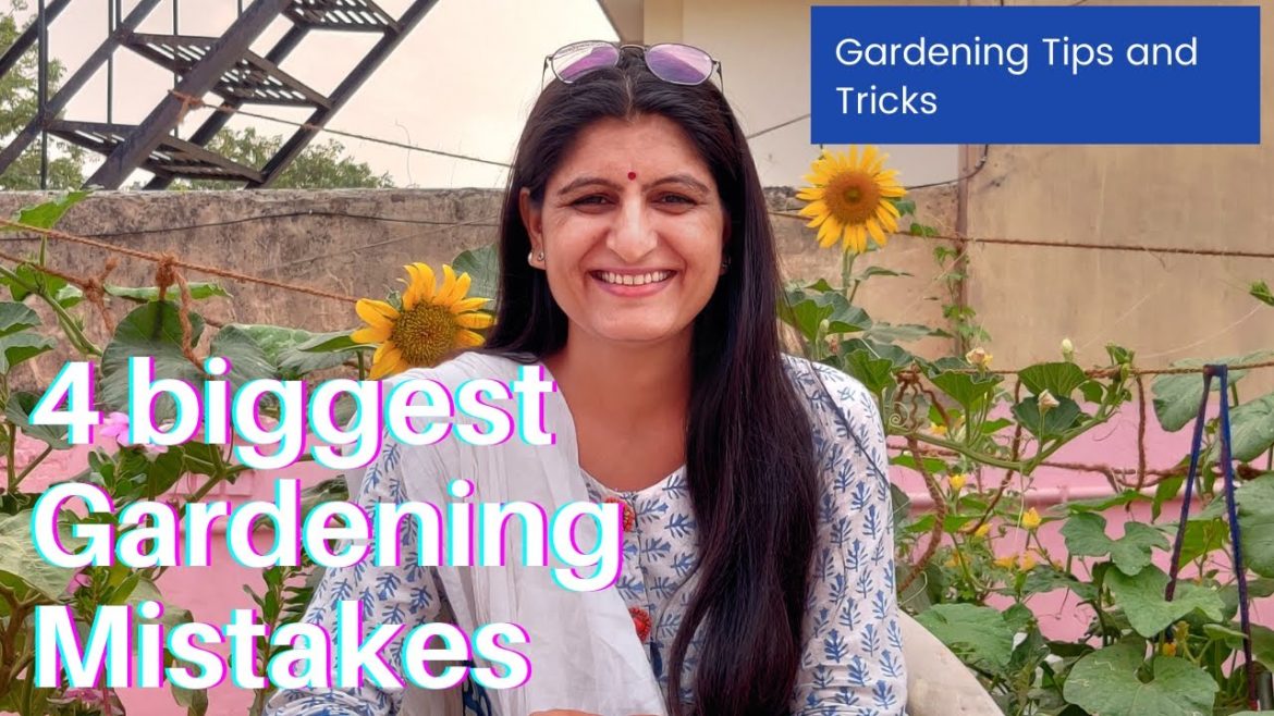4 Biggest Mistakes Every Gardener Should Avoid | Gardening tips and tricks| Organic Kitchen Garden 4 Biggest Mistakes Every Gardener Should Avoid | Gardening tips and tricks| Organic Kitchen Garden