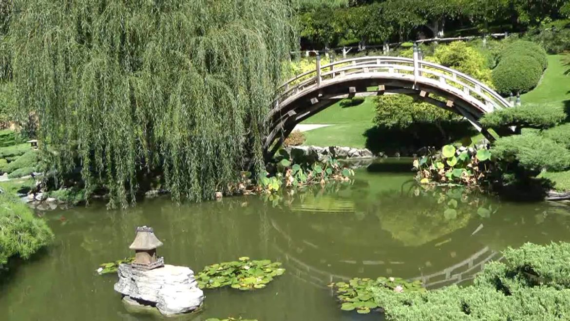 The Huntington Library Japanese Garden