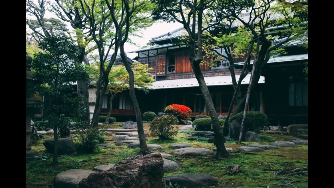 Landscape Desing ideas Best ideas for  garden and landscape #5465 #shorts 9 Landscape Desing ideas Best ideas for  garden and landscape #5465 #shorts 9