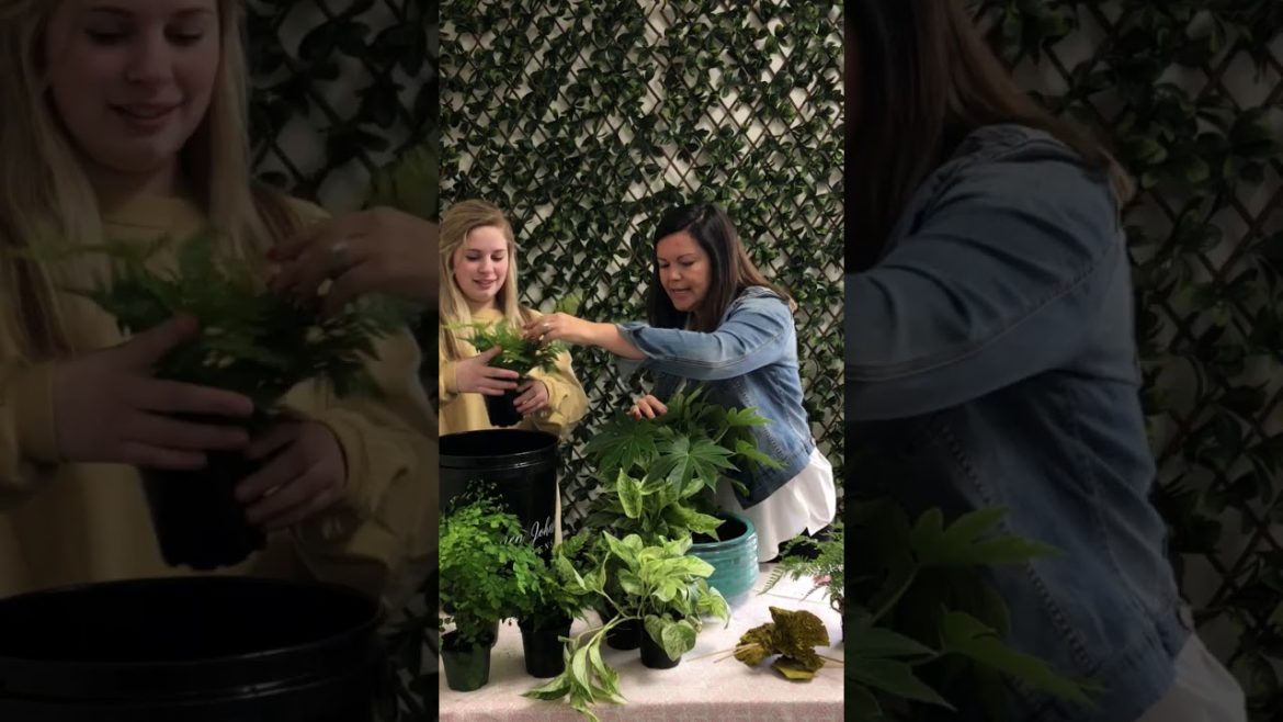Indoor Container Garden DIY