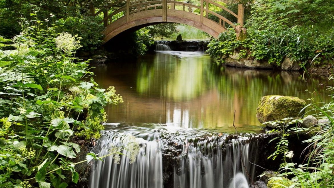 Japanese Water Garden Design Japanese Water Garden Design
