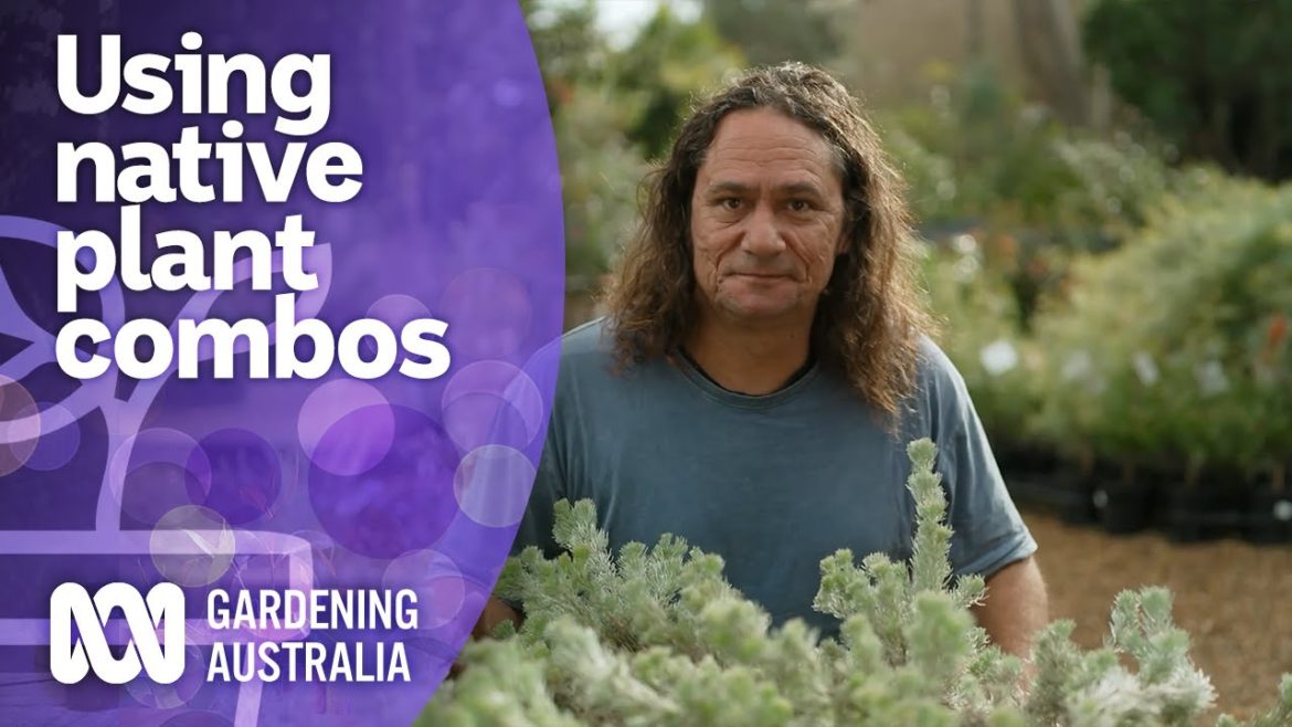 Combining native varieties in your garden design | Australian native plants | Gardening Australia