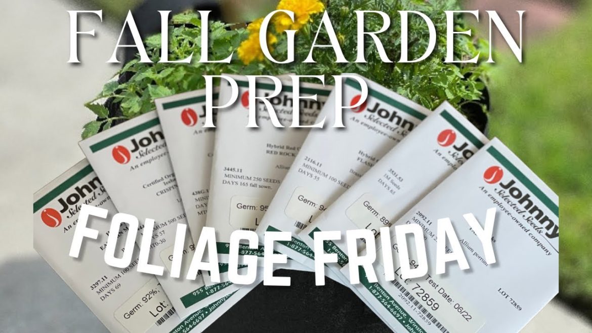 Seed Unboxing | Fall Garden Plans | #eatsipkrave #subscribe #homegarden #foliagefriday
