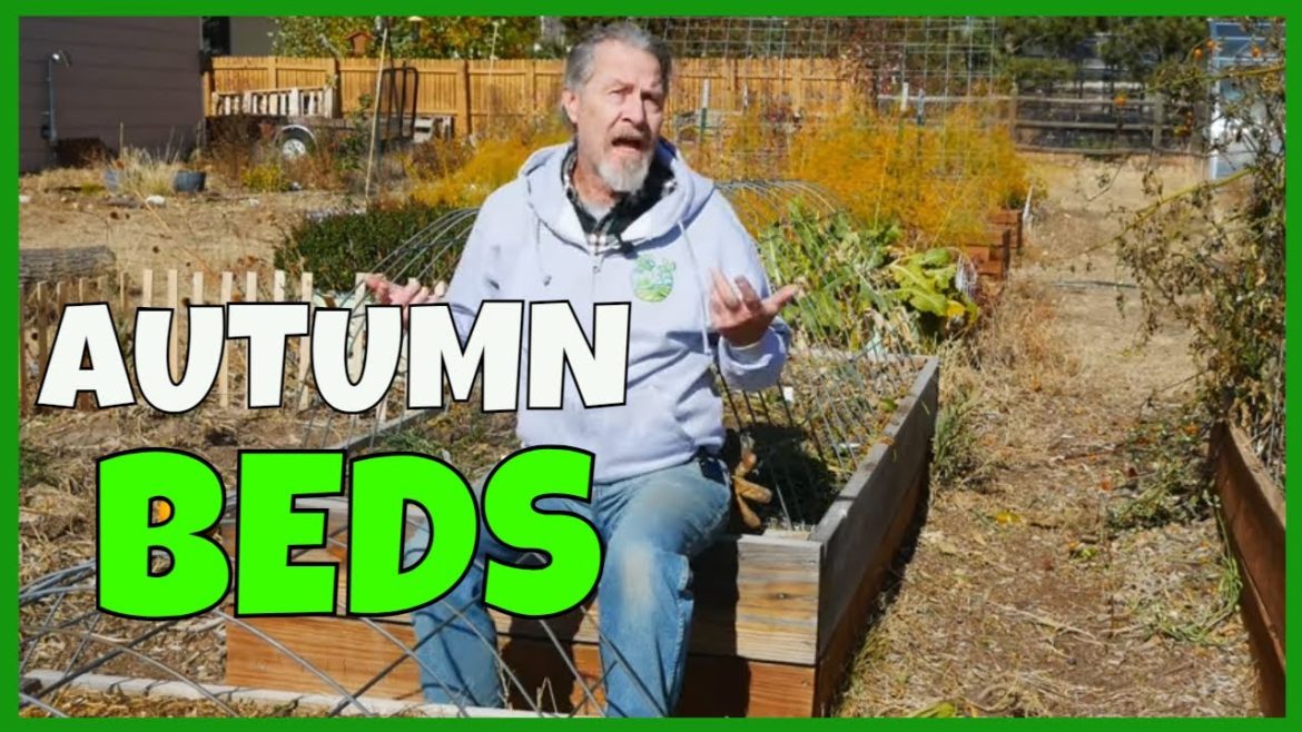 Why to Build Raised Beds in Fall Why to Build Raised Beds in Fall