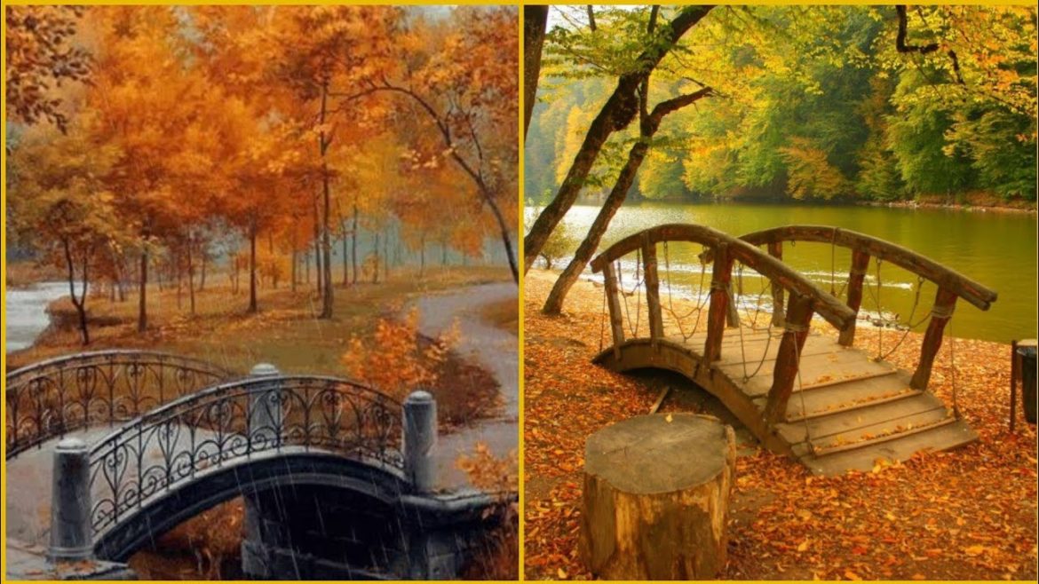 Garden Beautiful and Adorable Bridges design and ideas