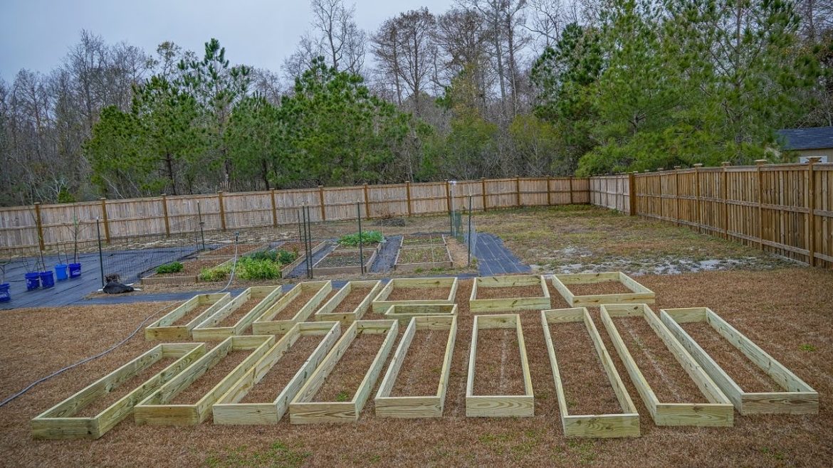 Building A Garden Part 1: Design, Planning, DIY Raised Beds & Layout Building A Garden Part 1: Design, Planning, DIY Raised Beds & Layout