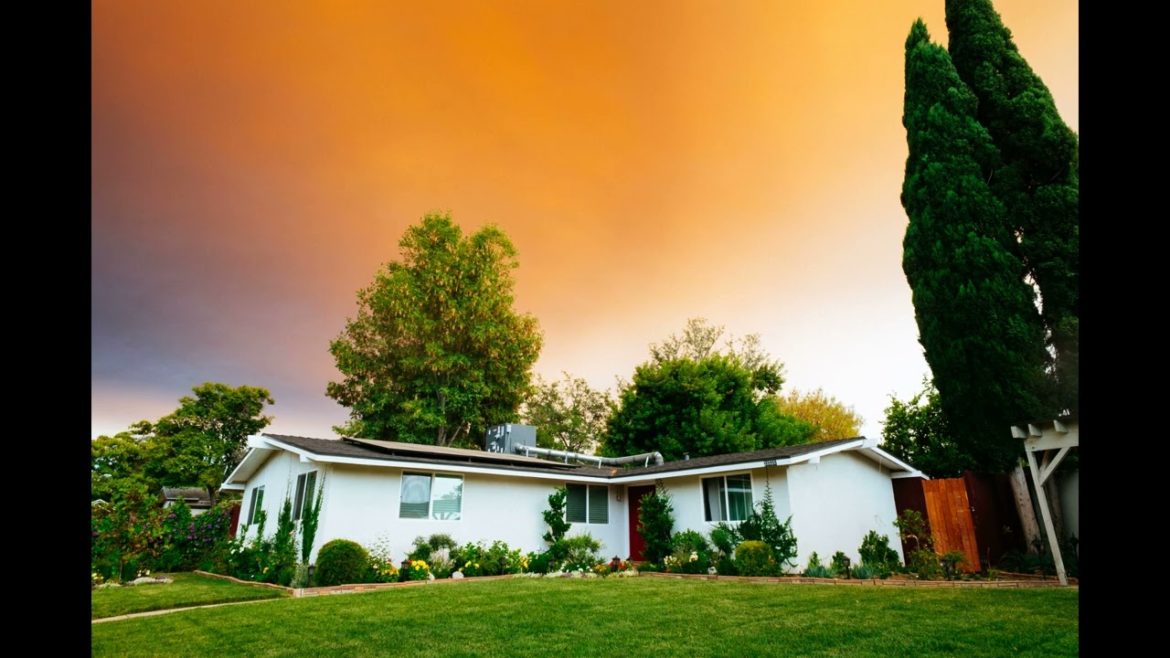 Landscape Desing ideas Best ideas for  garden and landscape #5465 #shorts 11 Landscape Desing ideas Best ideas for  garden and landscape #5465 #shorts 11