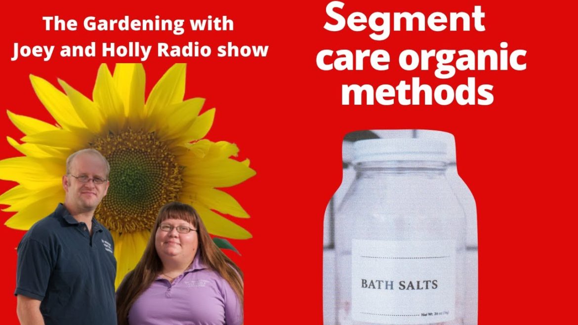 Segment 2 of S6E34  DIY self care methods - The Gardening radio with Joey and Holly Radio Show