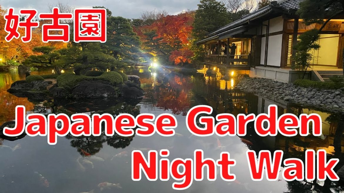 Japanese Garden Night Walk in Momiji season ~Majestic Koko-en garden next to Himeji Castle | 日本庭園紅葉会