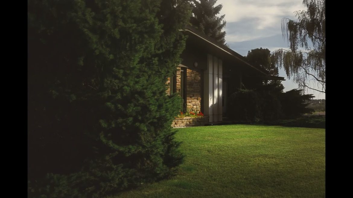 Landscape Desing ideas Best ideas for  garden and landscape #5465 #shorts 12 Landscape Desing ideas Best ideas for  garden and landscape #5465 #shorts 12