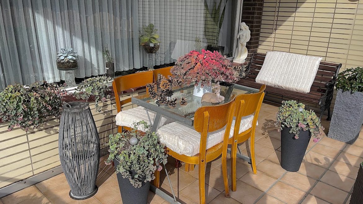 Late Summer Balcony Garden Design Evelyn Perfect