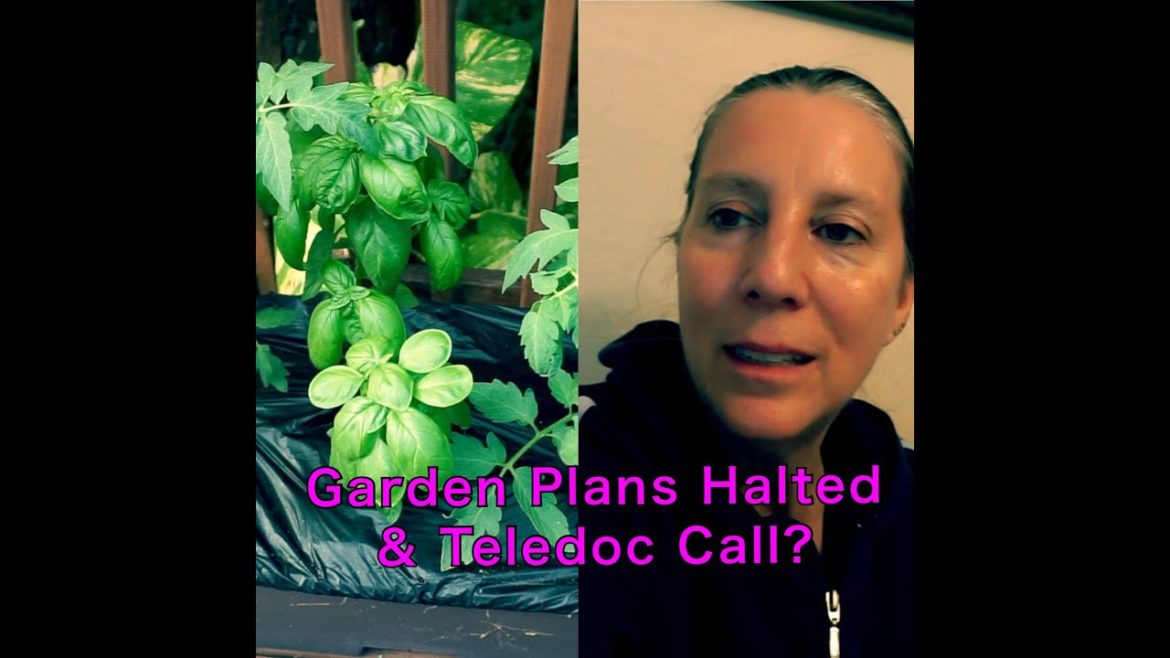 Garden Plans Halted  - Teledoc Call