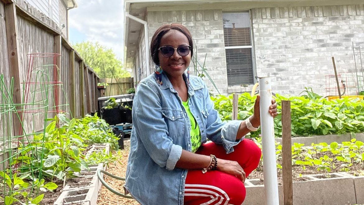 Deciding What to Plant In Your Garden: 5 HELPFUL Tips to AVOID Waste and Gardening Burnout Deciding What to Plant In Your Garden: 5 HELPFUL Tips to AVOID Waste and Gardening Burnout