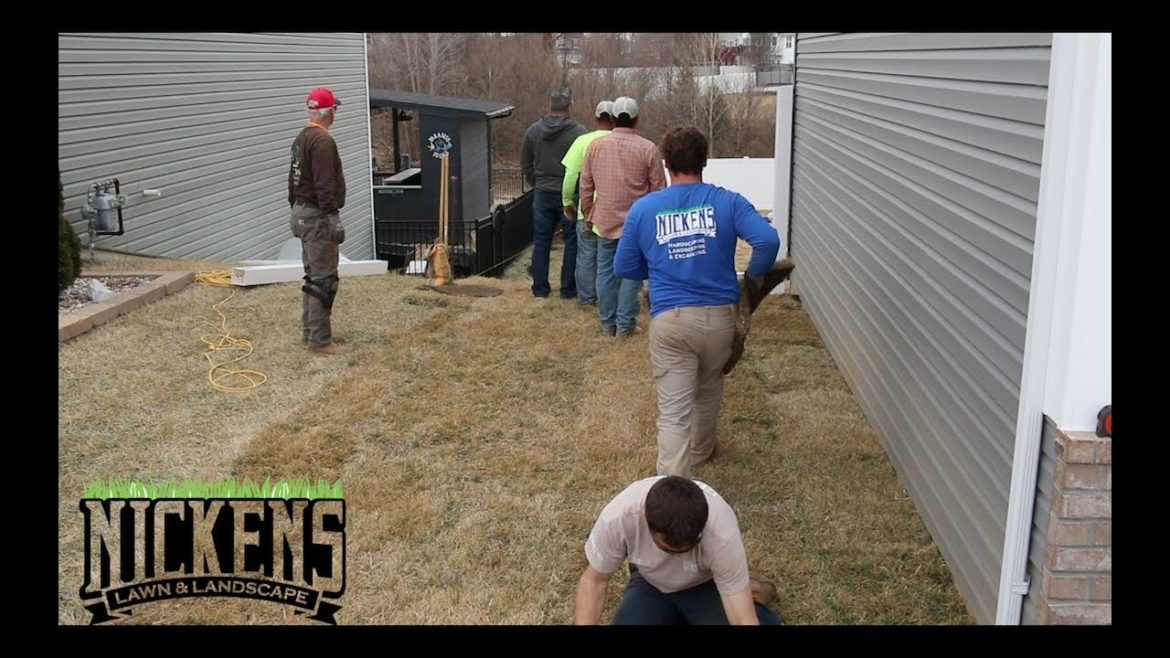 Landscape Contractor and Fence Contractor Working in the SAME BACKYARD, How Did it Go?