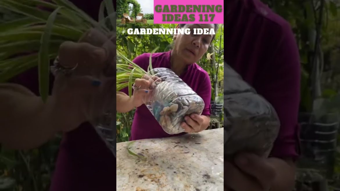 Check out this fun DIY project using recycled water bottle!😍🍋🌱😁🌴🌱🌿😇 /gardening ideas 😁🌴🌱🌿😇