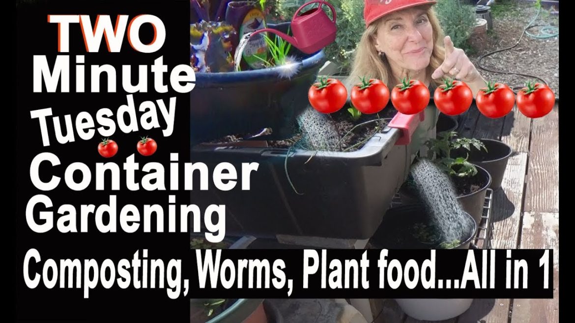 Best Container Garden System Easy Gardening Ideas Compost-Plant food-Mulch-Worms