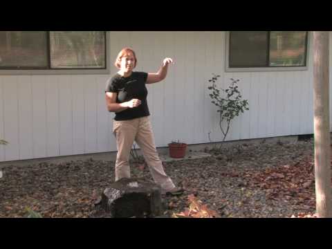 Gardening for Trees & Plants : Creating a Japanese Zen Garden Gardening for Trees & Plants : Creating a Japanese Zen Garden