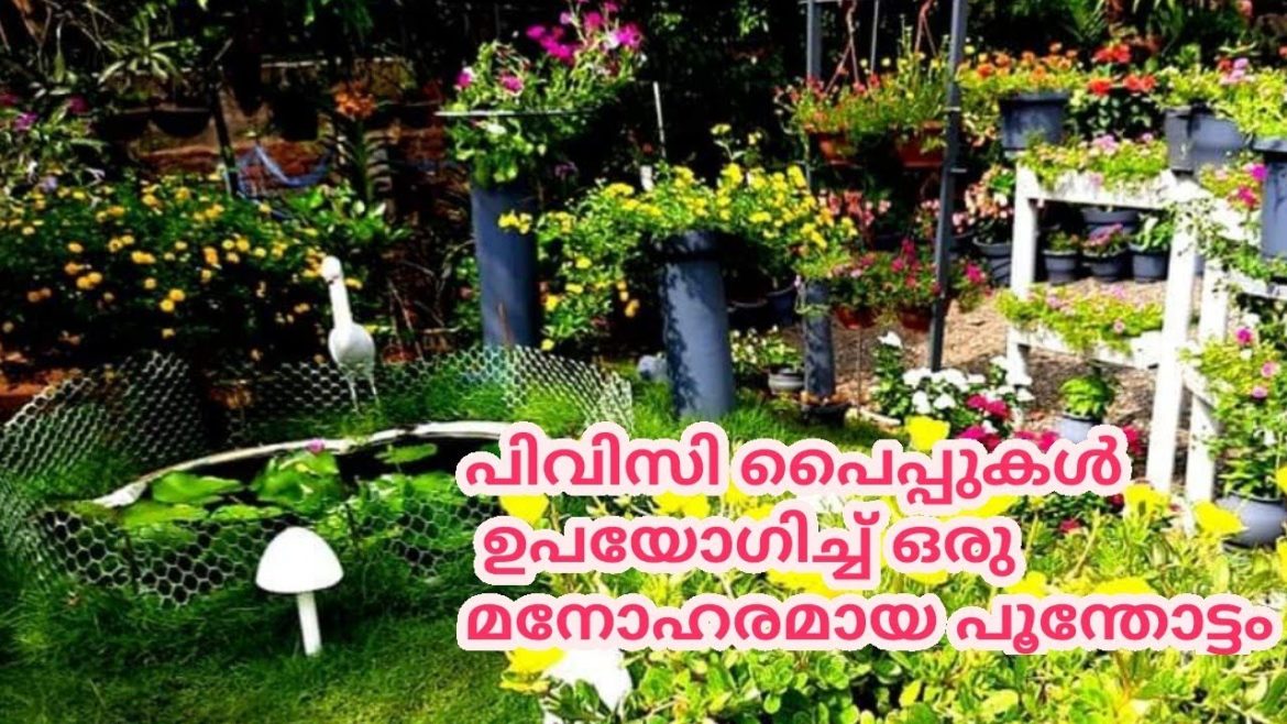 How to make a beautiful garden using PVC pipes| Garden tips and care|Salu Koshy How to make a beautiful garden using PVC pipes| Garden tips and care|Salu Koshy