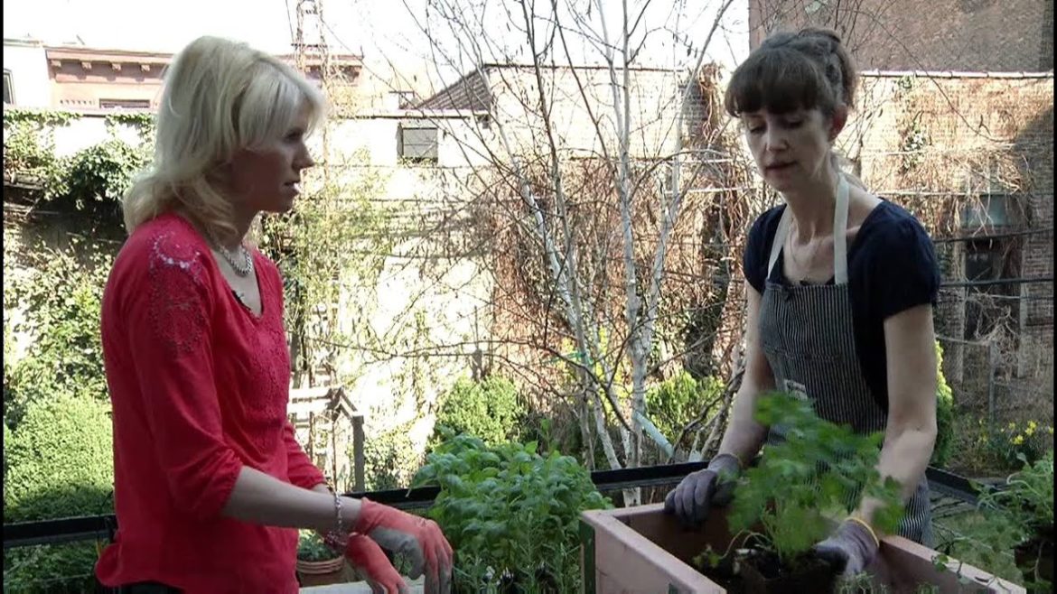 Off Duty: Gardening Tips, Ed Sheeran, Your Favorite Wine , $15,000 bottle of Olive Oil Off Duty: Gardening Tips, Ed Sheeran, Your Favorite Wine , $15,000 bottle of Olive Oil