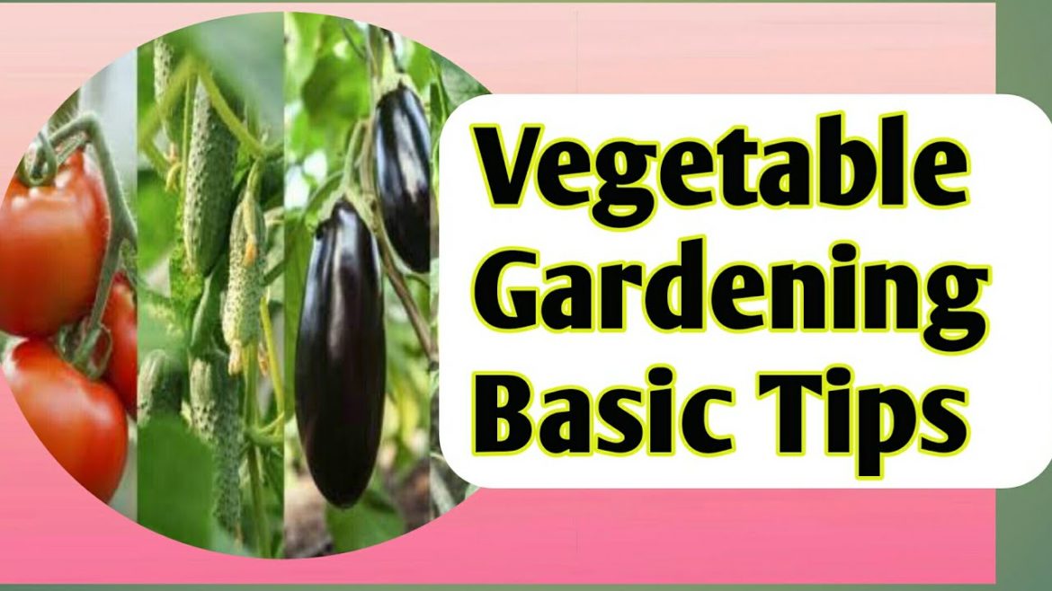 Gardening Tips For Beginners || How to Grow Best Vegetable Home/Garden