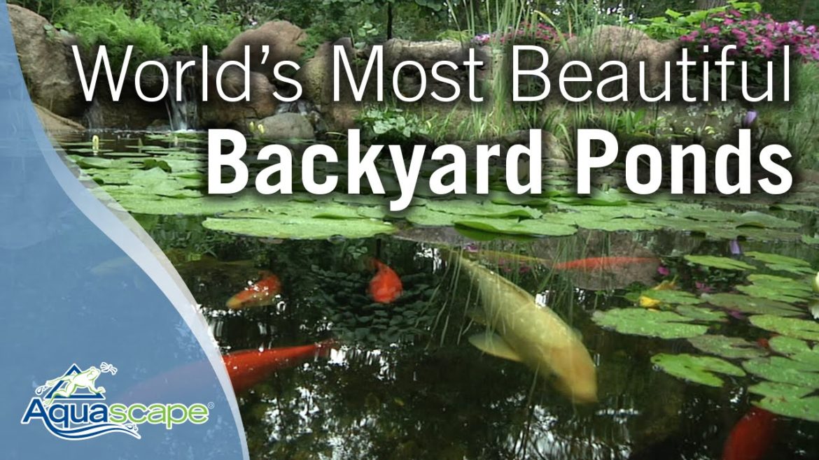 World's Most Beautiful Backyard Ponds World's Most Beautiful Backyard Ponds