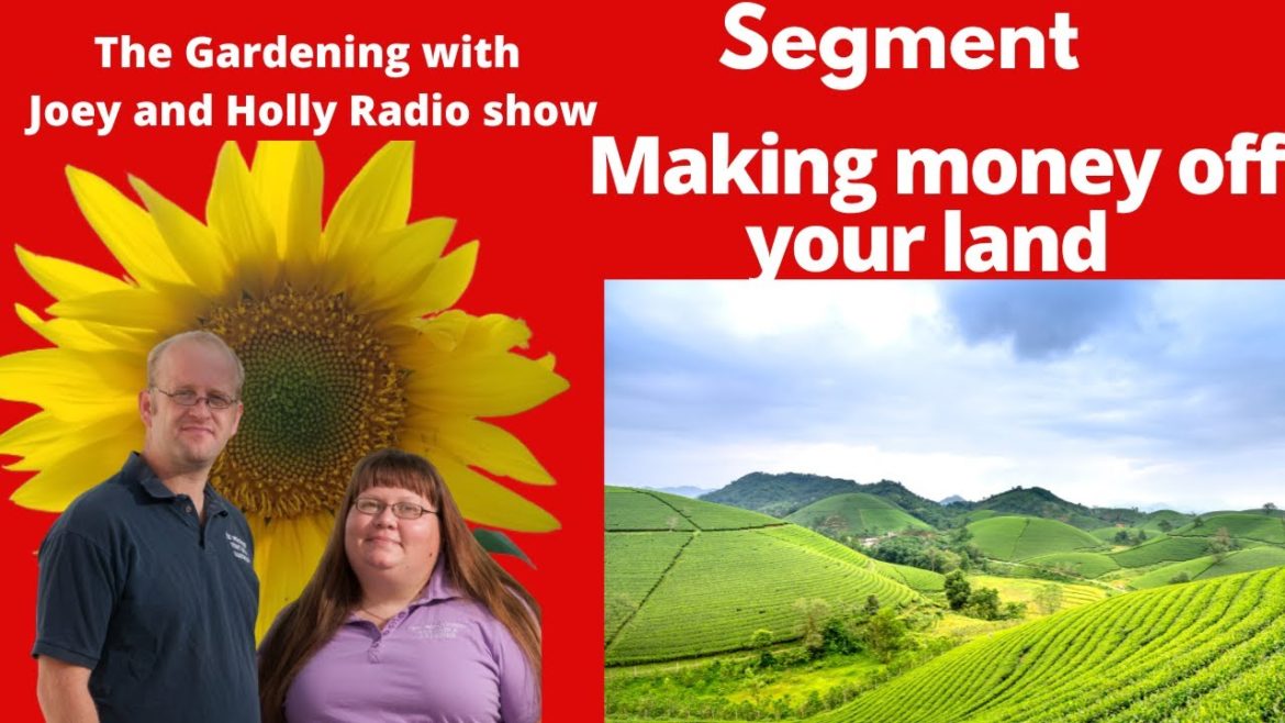 Segment 2 of S6E33 Making money off your land – The Gardening with Joey and Holly Radio Show Segment 2 of S6E33 Making money off your land - The Gardening with Joey and Holly Radio Show