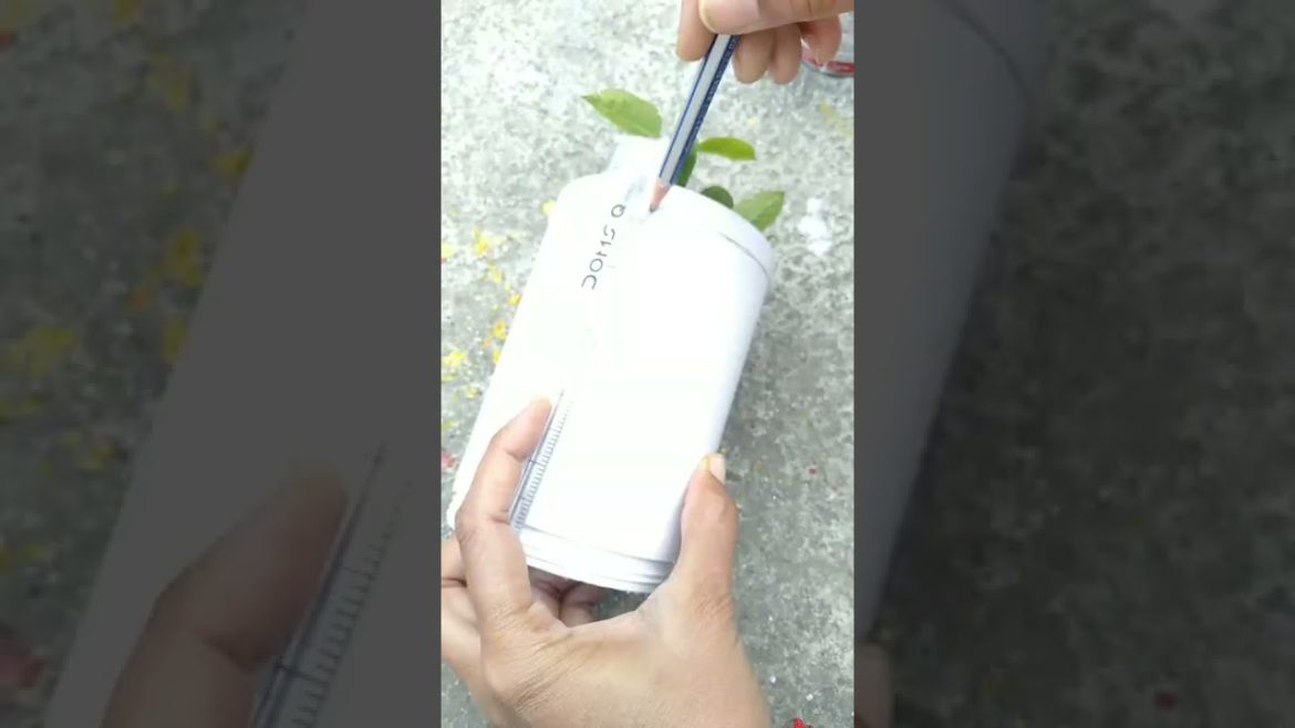 Diy Planter from waste plastic container#shorts