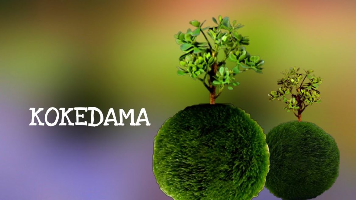 Kokedama making | Garden makeover | Japanese craft ideas Kokedama making | Garden makeover | Japanese craft ideas