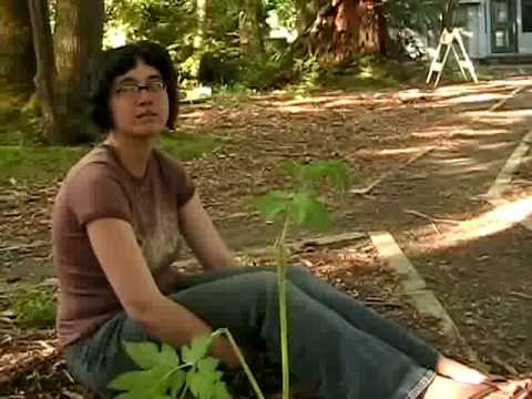 Systems of Change: Edible Forest Gardening part 3 Systems of Change: Edible Forest Gardening part 3