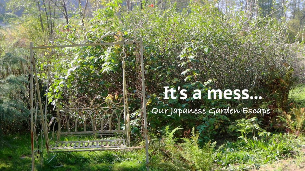 Preparing for Garden Landscaping | Our Japanese Garden Escape Preparing for Garden Landscaping | Our Japanese Garden Escape